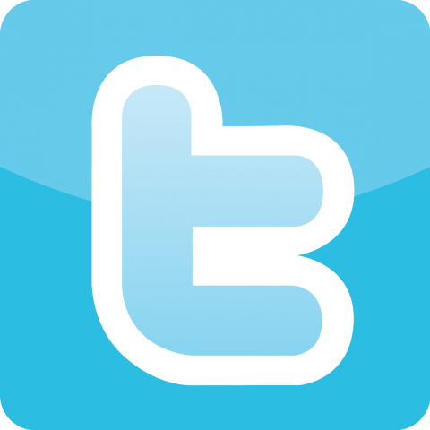Twitter-Logo-Icon